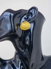 Sea-Shell Brass Earrings